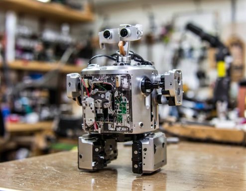 Halmobots